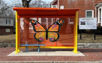 MVCulture Project Update