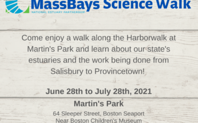 Marsh Matters: MassBays Science Walk