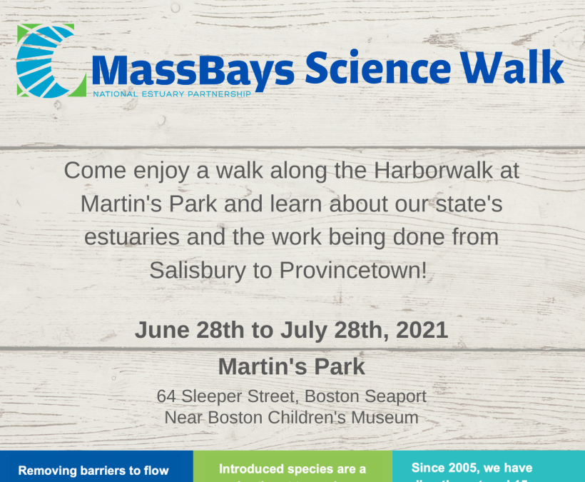Marsh Matters: MassBays Science Walk