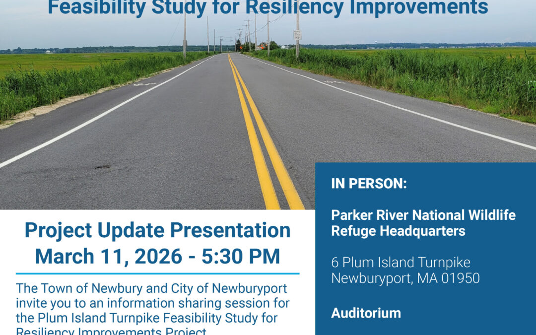 Plum Island Turnpike Feasibility Study for Resiliency Improvements
