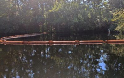 MVPC Launches River Cleanup Invitation for Bid