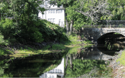 MVPC Launches Rebranded Stormwater Collaborative